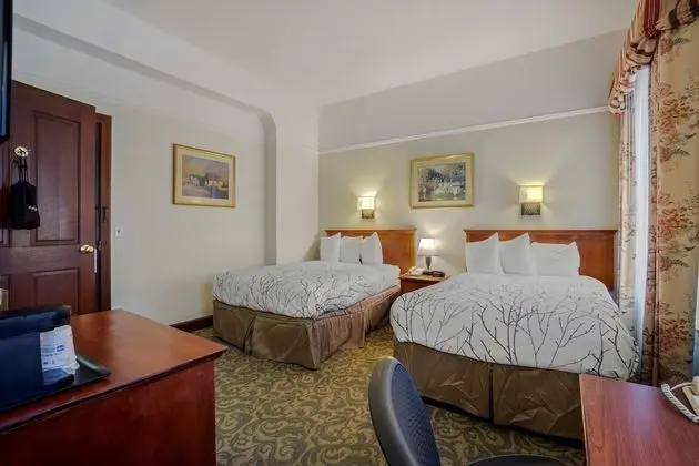 Deluxe Oda, 2 Çift Kişilik Yatak, Sigara İçilmez, Şehir Manzaralı