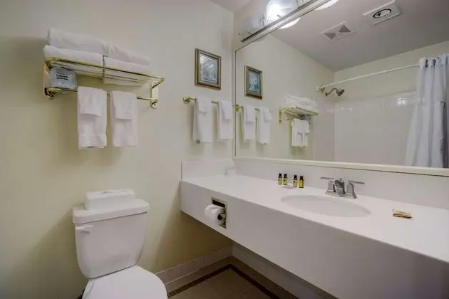 Deluxe Oda, 2 Çift Kişilik Yatak, Sigara İçilmez, Şehir Manzaralı