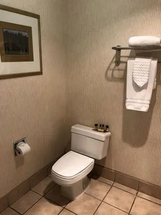 Business Oda, 1 En Büyük (King) Boy Yatak, Sigara İçilmez, Buzdolabı ve Mikrodalga