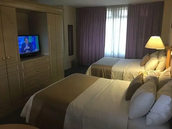 Executive Oda, 2 Çift Kişilik Yatak, Sigara İçilmez