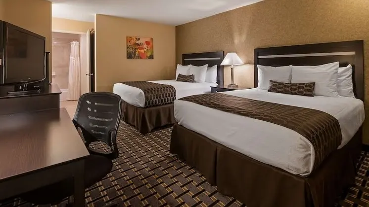 Standard Oda, 2 Büyük (Queen) Boy Yatak, Sigara İçilmez, Buzdolabı ve Mikrodalga (Pet Friendly)