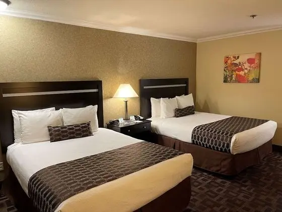 Standard Oda, 2 Büyük (Queen) Boy Yatak, Sigara İçilmez, Buzdolabı ve Mikrodalga (Pet Friendly)