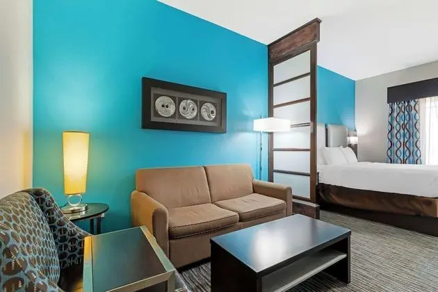 Süit, 1 En Büyük (King) Boy Yatak ve Çekyat, Engellilere Uygun, Sigara İçilmez (with Sofabed)