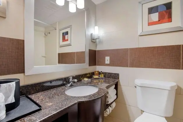Standard Oda, 1 En Büyük (King) Boy Yatak, Sigara İçilmez, Buzdolabı ve Mikrodalga (Shower Only)