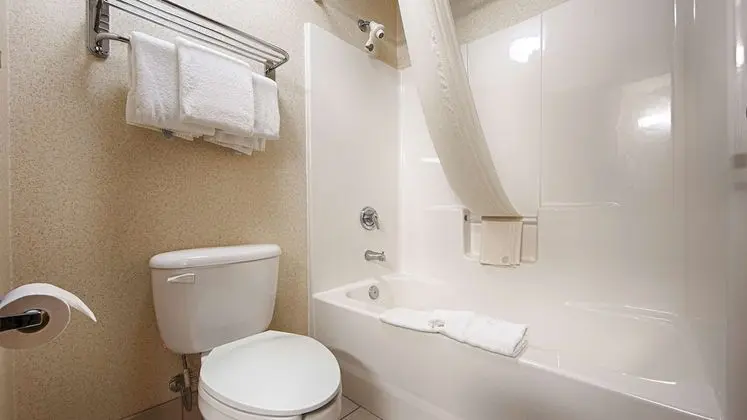 Standard Oda, 1 En Büyük (King) Boy Yatak, Sigara İçilmez (Pet Friendly;with Sofabed)