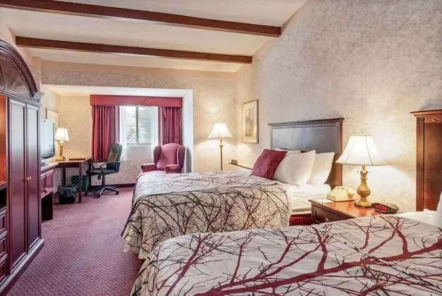 Superior Oda, 2 Çift Kişilik Yatak, Sigara İçilmez, Mikrodalga