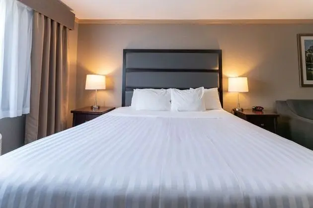 Standard Oda, 1 En Büyük (King) Boy Yatak, Sigara İçilmez, Küçük Mutfak (Pet Friendly;with Sofabed)
