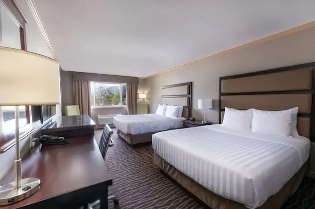 Standard Oda, 2 Büyük (Queen) Boy Yatak, Sigara İçilmez, Buzdolabı ve Mikrodalga (Pet Friendly)