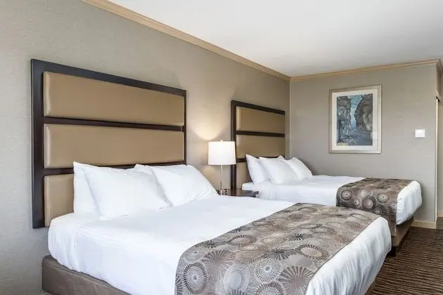 Standard Oda, 2 Büyük (Queen) Boy Yatak, Sigara İçilmez, Buzdolabı ve Mikrodalga (Pet Friendly)