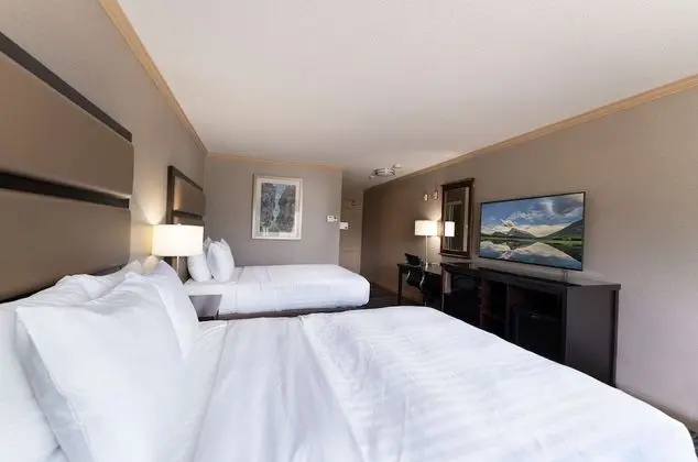Standard Oda, 2 Büyük (Queen) Boy Yatak, Sigara İçilmez, Buzdolabı ve Mikrodalga (Pet Friendly)