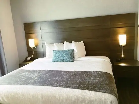 Standard Oda, 1 En Büyük (King) Boy Yatak, Sigara İçilmez, Buzdolabı ve Mikrodalga (Shower Only)