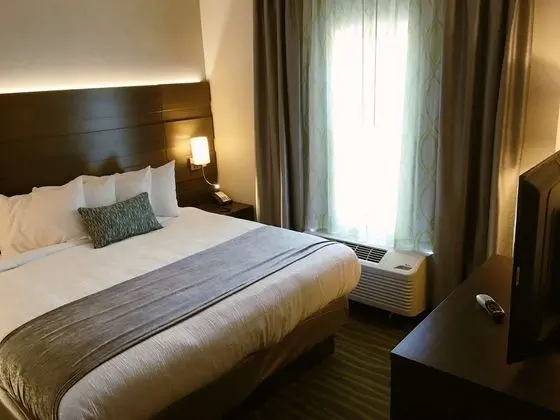 Standard Oda, 1 En Büyük (King) Boy Yatak, Sigara İçilmez, Buzdolabı ve Mikrodalga (Shower Only)