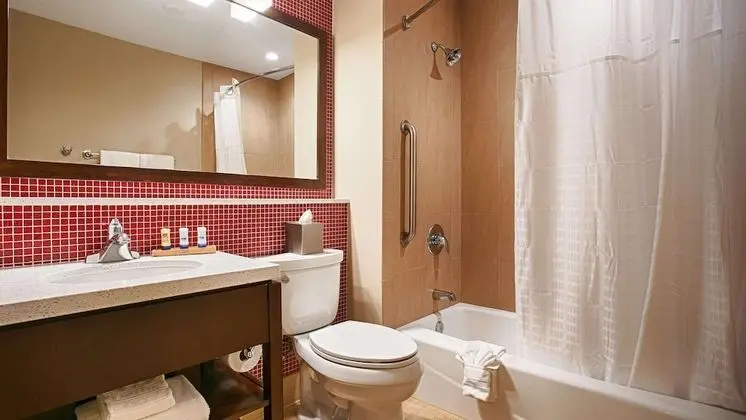 Standard Oda, 1 En Büyük (King) Boy Yatak, Sigara İçilmez, Buzdolabı ve Mikrodalga