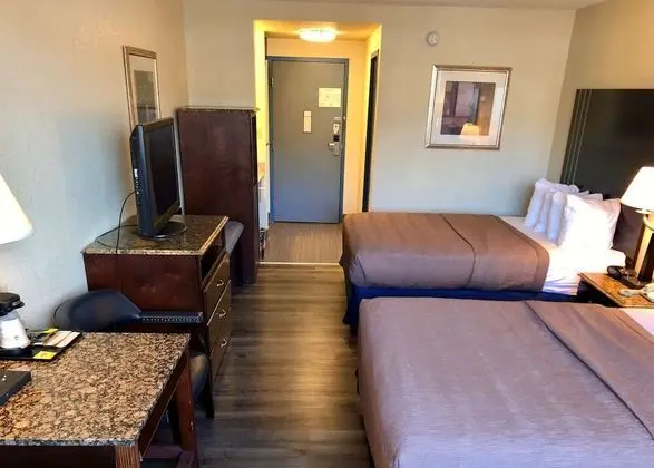 Standard Oda, 2 Büyük (Queen) Boy Yatak, Sigara İçilmez, Buzdolabı ve Mikrodalga (Pet Friendly)