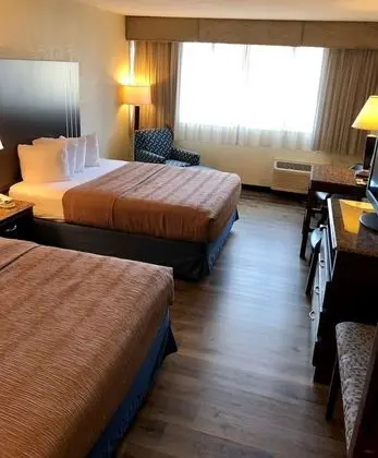 Standard Oda, 2 Büyük (Queen) Boy Yatak, Sigara İçilmez, Buzdolabı ve Mikrodalga (Pet Friendly)
