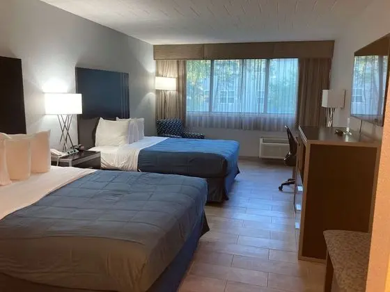 Standard Oda, 2 Büyük (Queen) Boy Yatak, Sigara İçilmez, Buzdolabı ve Mikrodalga (Pet Friendly)