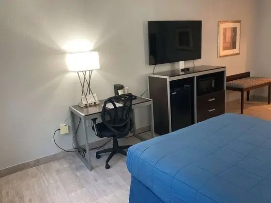 Standard Oda, 2 Büyük (Queen) Boy Yatak, Sigara İçilmez, Buzdolabı ve Mikrodalga (Pet Friendly)