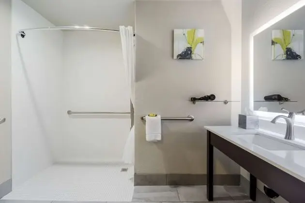 Standard Oda, 1 En Büyük (King) Boy Yatak, Engellilere Uygun (Walk-in Shower)