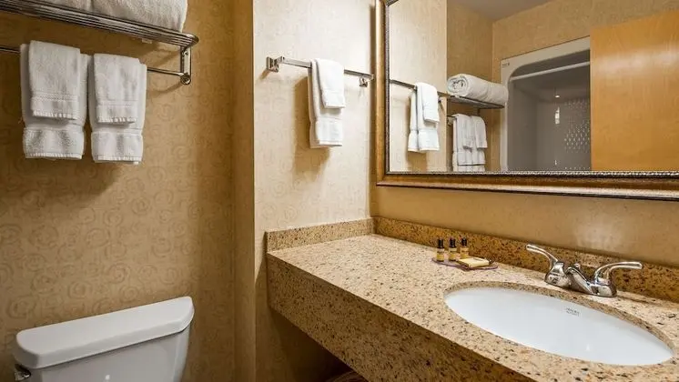 Standard Oda, 1 En Büyük (King) Boy Yatak, Sigara İçilmez, Buzdolabı