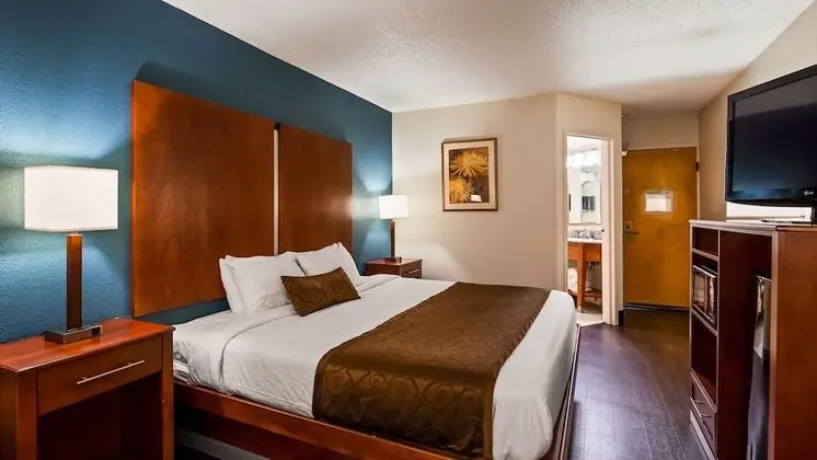 Standard Oda, 1 En Büyük (King) Boy Yatak, Sigara İçilmez, Buzdolabı ve Mikrodalga (Pet Friendly)