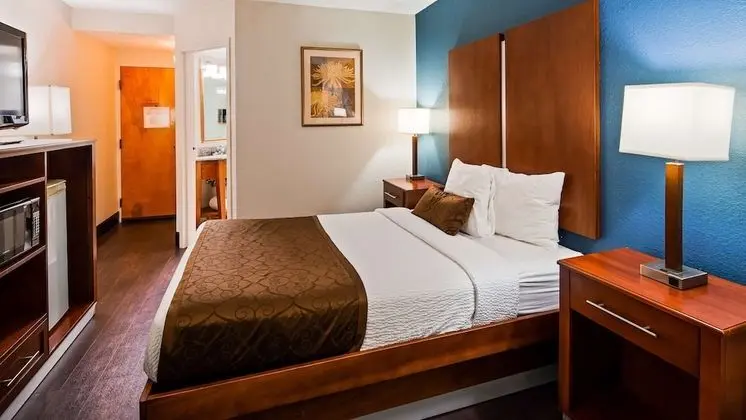 Standard Oda, 1 En Büyük (King) Boy Yatak, Sigara İçilmez, Buzdolabı ve Mikrodalga (Pet Friendly)