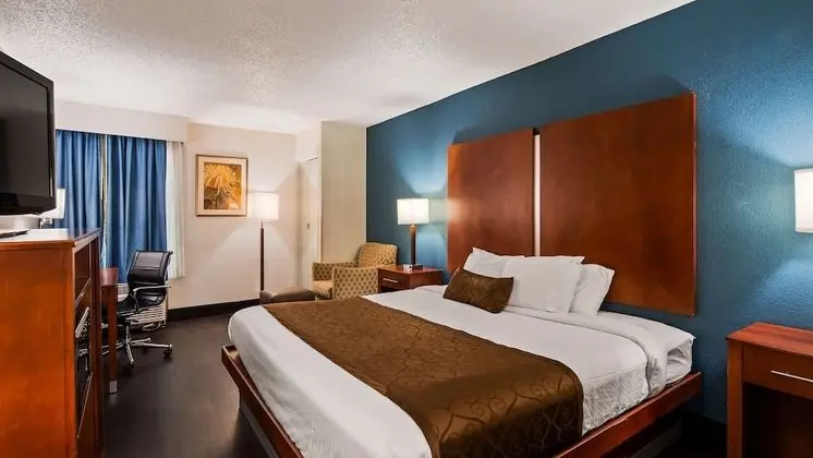 Standard Oda, 1 En Büyük (King) Boy Yatak, Sigara İçilmez, Buzdolabı ve Mikrodalga (Pet Friendly)