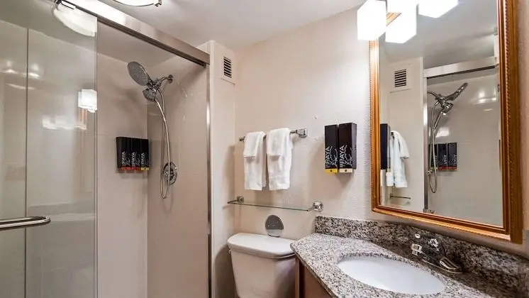 Standard Oda, 1 En Büyük (King) Boy Yatak, Sigara İçilmez, Buzdolabı ve Mikrodalga (Pet Friendly)