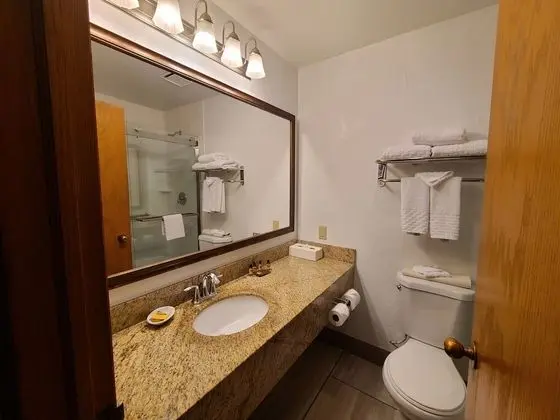 Standard Oda, 1 En Büyük (King) Boy Yatak, Sigara İçilmez (Walk-in Shower;with Sofabed)
