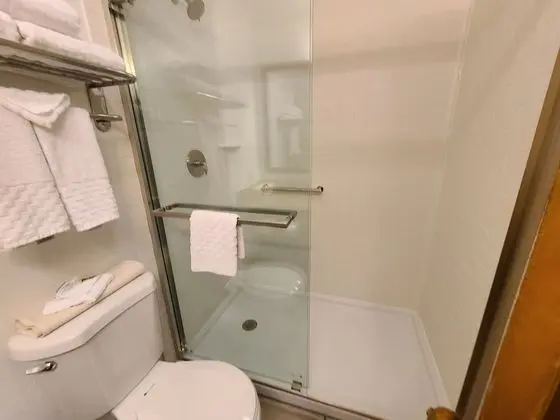 Standard Oda, 1 En Büyük (King) Boy Yatak, Sigara İçilmez (Walk-in Shower;with Sofabed)