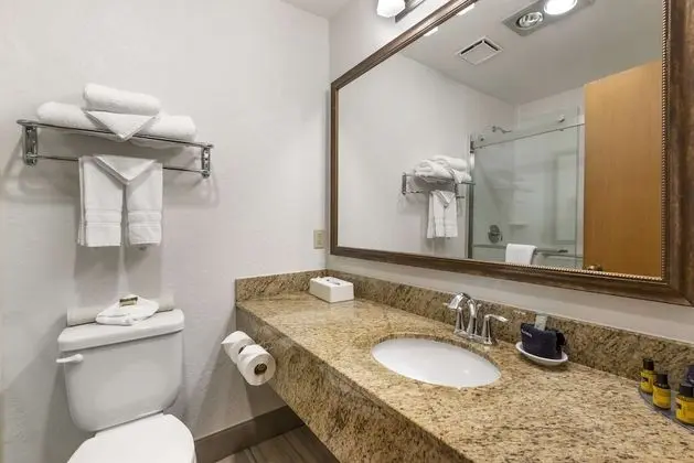 Standard Oda, 1 En Büyük (King) Boy Yatak, Sigara İçilmez (Walk-in Shower;with Sofabed)