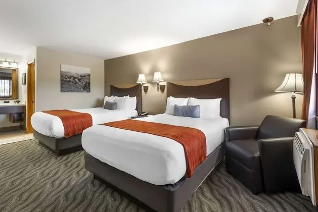 Standard Oda, 2 Büyük (Queen) Boy Yatak, Sigara İçilmez, Buzdolabı ve Mikrodalga (Pet Friendly)