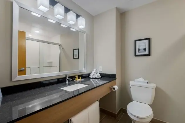 Standard Oda, 1 En Büyük (King) Boy Yatak, Sigara İçilmez, Buzdolabı ve Mikrodalga (Shower Only)
