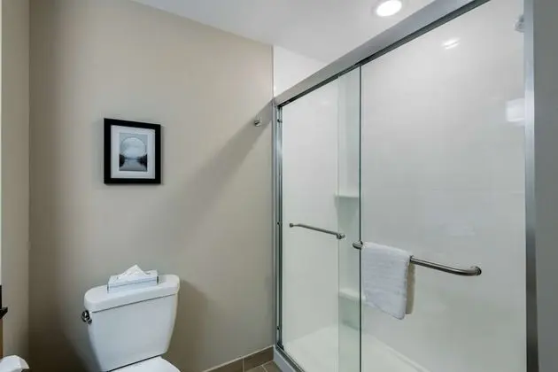 Standard Oda, 1 En Büyük (King) Boy Yatak, Sigara İçilmez, Buzdolabı ve Mikrodalga (Shower Only)
