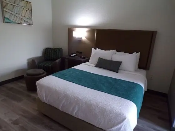 Süit, 1 En Büyük (King) Boy Yatak, Sigara İçilmez, Buzdolabı ve Mikrodalga