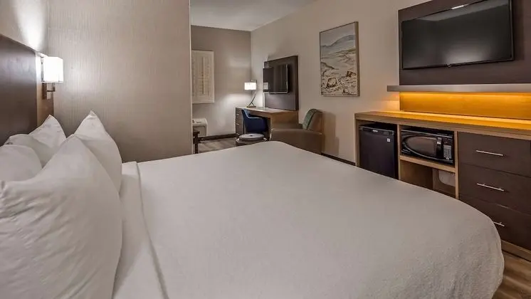 Süit, 1 En Büyük (King) Boy Yatak, Sigara İçilmez, Buzdolabı ve Mikrodalga