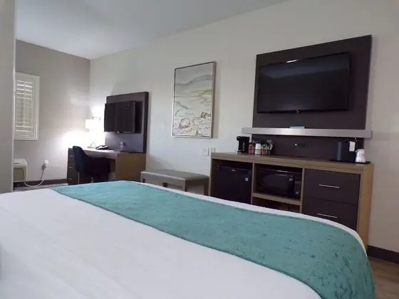 Süit, 1 En Büyük (King) Boy Yatak, Sigara İçilmez, Buzdolabı ve Mikrodalga