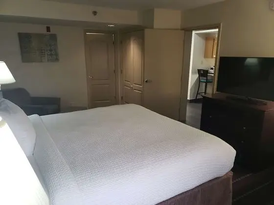 Executive Süit, 1 En Büyük (King) Boy Yatak, Sigara İçilmez, Buzdolabı ve Mikrodalga (with Sofabed)