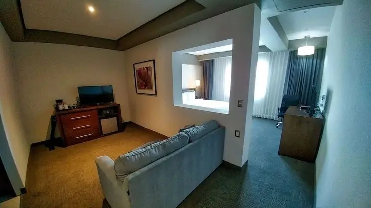 Junior Süit, 1 En Büyük (King) Boy Yatak ve Çekyat, Sigara İçilmez (with Sofabed)