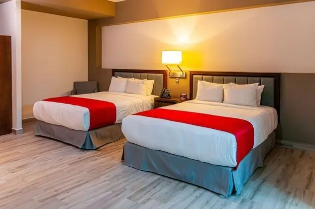 Standard Oda, 2 Büyük (Queen) Boy Yatak, Sigara İçilmez (Pet Friendly)