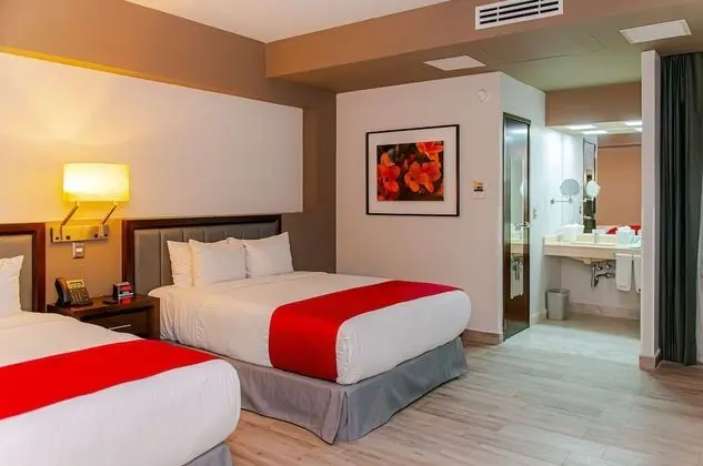 Standard Oda, 2 Büyük (Queen) Boy Yatak, Sigara İçilmez (Pet Friendly)