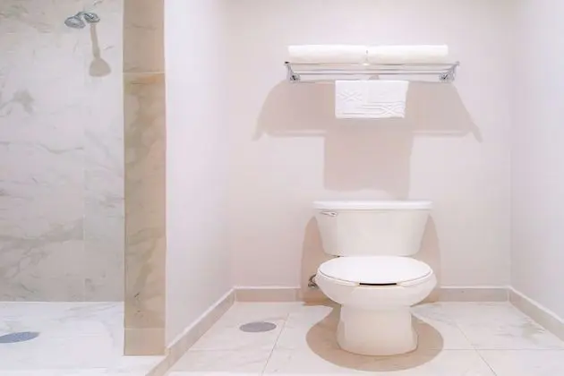 Standard Oda, 2 Büyük (Queen) Boy Yatak, Sigara İçilmez (Pet Friendly)
