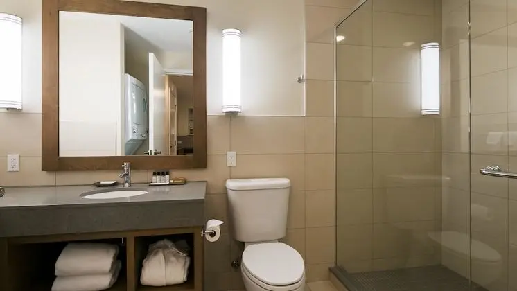 Süit, 1 En Büyük (King) Boy Yatak, Sigara İçilmez, Küçük Mutfak (Shower Only)