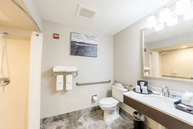 Standard Oda, 1 En Büyük (King) Boy Yatak, Sigara İçilmez, Buzdolabı ve Mikrodalga (Shower Only)
