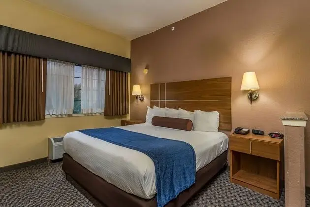 Standard Oda, 1 En Büyük (King) Boy Yatak, Sigara İçilmez, Buzdolabı ve Mikrodalga (Pet Friendly)