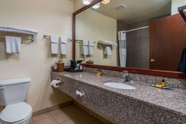 Standard Oda, 1 En Büyük (King) Boy Yatak, Sigara İçilmez, Buzdolabı ve Mikrodalga (Pet Friendly)