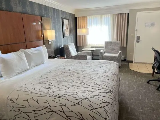 Standard Oda, 1 En Büyük (King) Boy Yatak, Buzdolabı ve Mikrodalga, Dağ Manzaralı