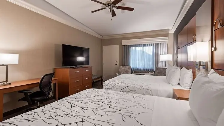 Standard Oda, Birden Çok Yatak, Buzdolabı ve Mikrodalga, Dağ Manzaralı