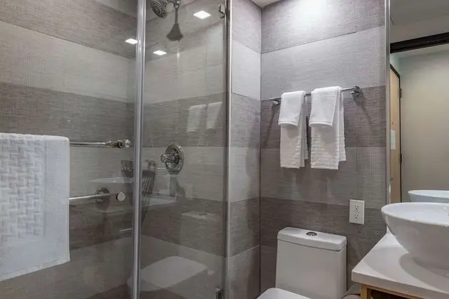 Standard Oda, 1 Büyük (Queen) Boy Yatak, Sigara İçilmez (Shower Only)