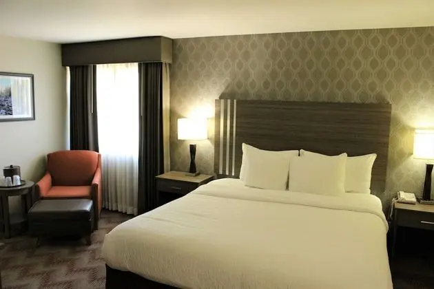 Süit, 1 En Büyük (King) Boy Yatak, Sigara İçilmez, Buzdolabı ve Mikrodalga (with Sofabed)