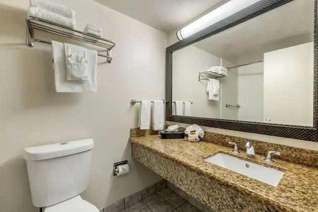 Standard Oda, 1 En Büyük (King) Boy Yatak, Sigara İçilmez, Buzdolabı